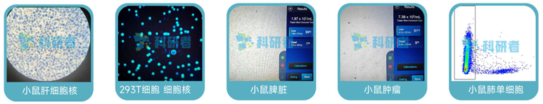 微信图片_2025-08-13_164225_532 微信图片_2025-08-13_164225_532