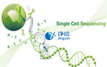 中国人自己的单细胞测序仪来了！,Drop-seq
