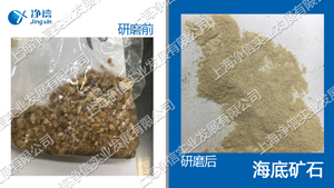 全自动样品处理系统 型号：JXFSTPRP-12/16