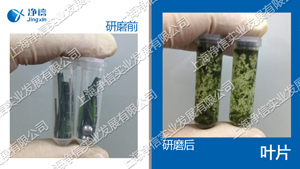 生物样品均质器 型号：Tissuelyser-48