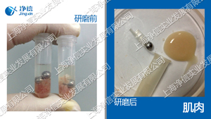 生物样品均质器 型号：Tissuelyser-32