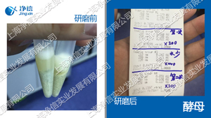 生物样品均质器 型号：Tissuelyser-96